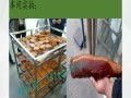 一站式精品餐饮助力高端接待 品质服务双提升